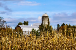 Tips for Long-Term Grain Storage